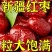 新疆大枣来自新疆和田本土的新疆大枣，单颗粒大枣小甜度高