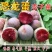 恐龙蛋李子树苗品种保证基地签约发苗包成活包技术