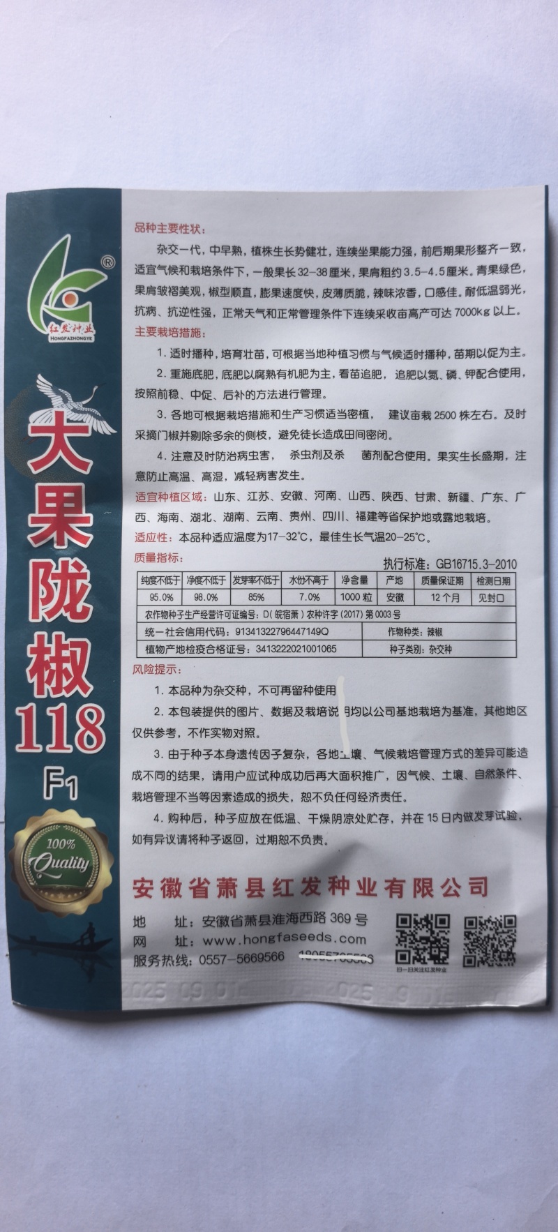 辣椒种子大果陇椒118全螺旋颜色亮绿无限生长高产