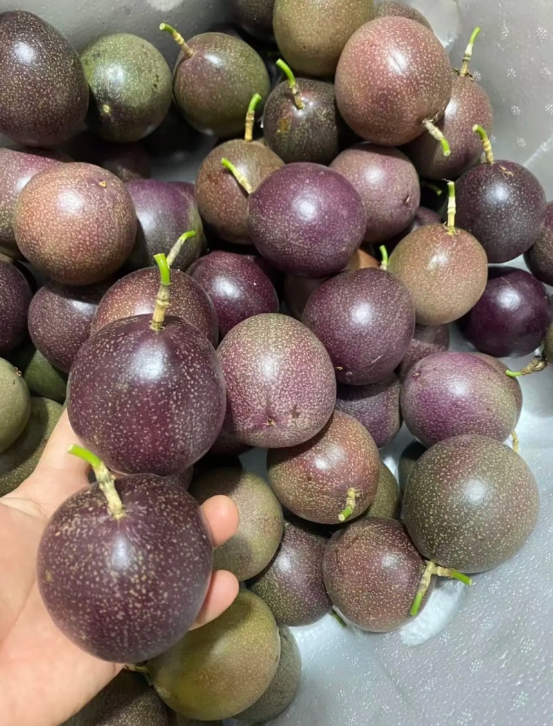百香果一手货
