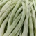 宏雨巴菲特白荚长芸豆种子博尔特早熟嫩荚绿白色四季豆架豆春