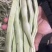 宏雨巴菲特白荚长芸豆种子博尔特早熟嫩荚绿白色四季豆架豆春