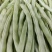 宏雨巴菲特白荚长芸豆种子博尔特早熟嫩荚绿白色四季豆架豆春