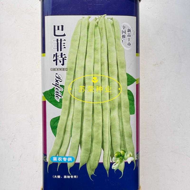 宏雨巴菲特白荚长芸豆种子博尔特早熟嫩荚绿白色四季豆架豆春