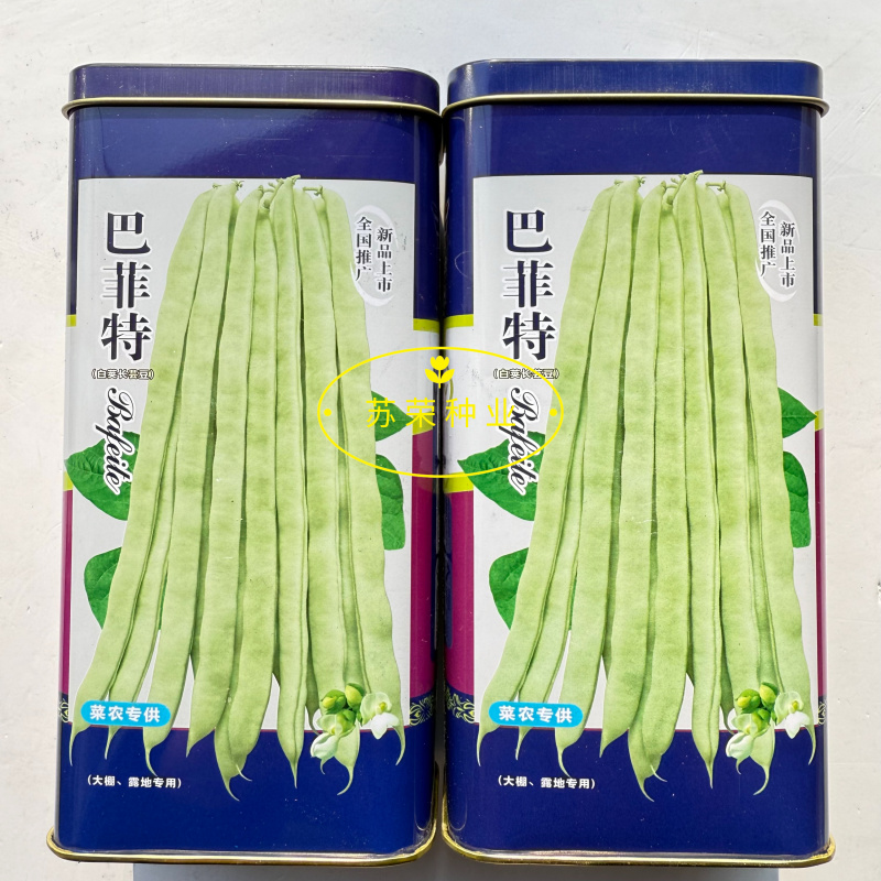 宏雨巴菲特白荚长芸豆种子博尔特早熟嫩荚绿白色四季豆架豆春