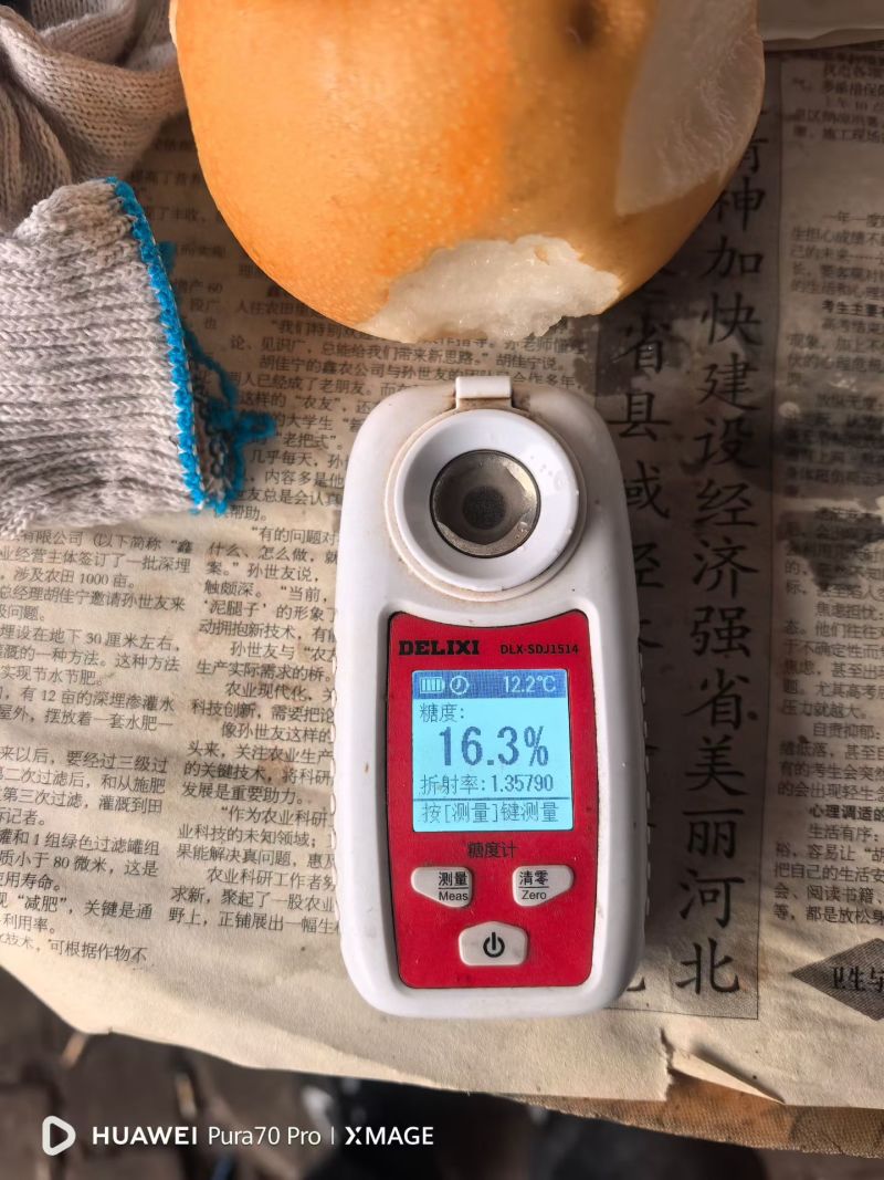 礼盒秋月梨，口感脆甜汁多，包装精美价格实惠