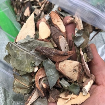 野生消瘤藤肿瑶药瘤藤神藤袪肿藤干品