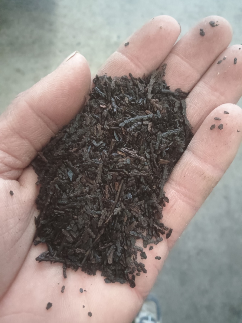 侧柏叶，侧柏炭，一手货源量大价优，产地直销