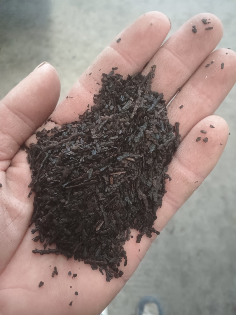 侧柏叶，侧柏炭，一手货源量大价优，产地直销