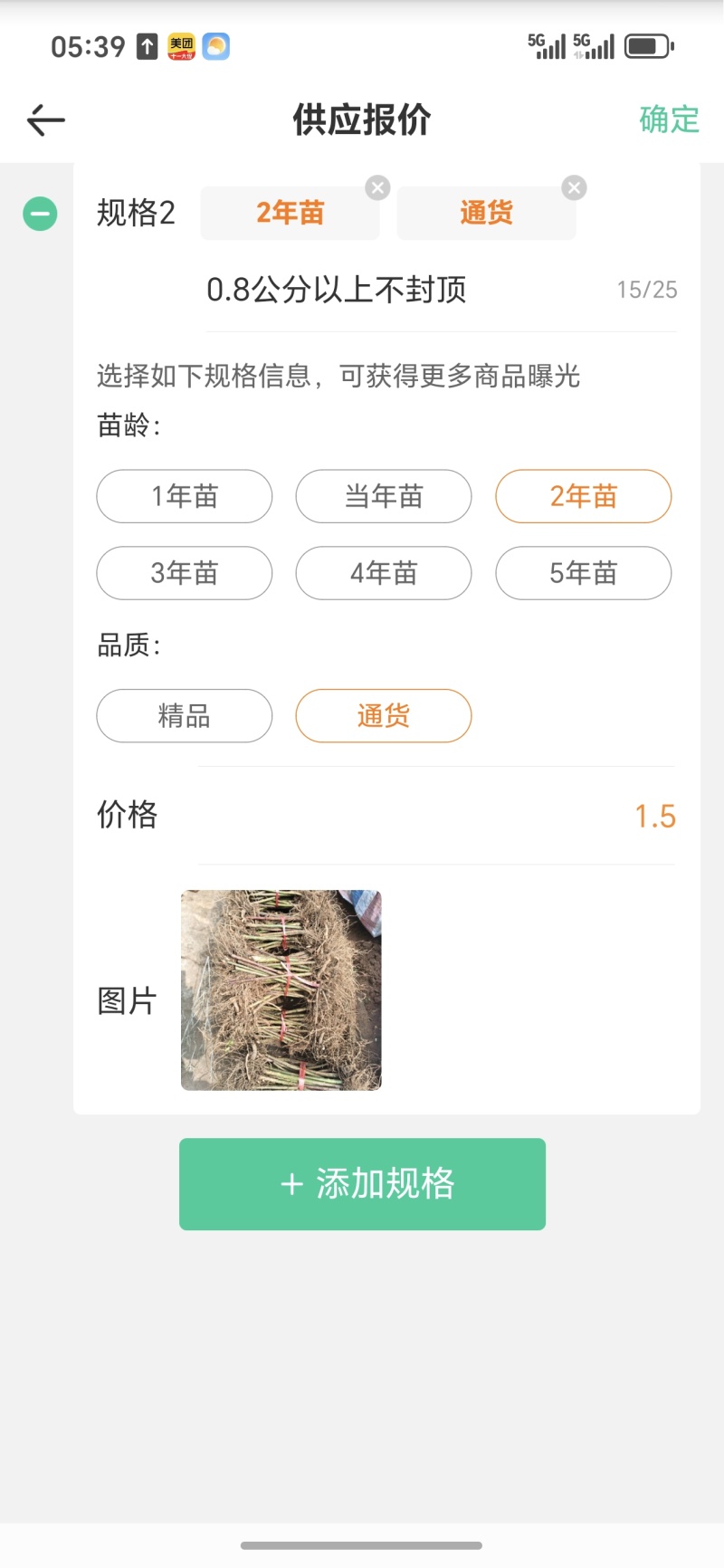 覆盆子苗