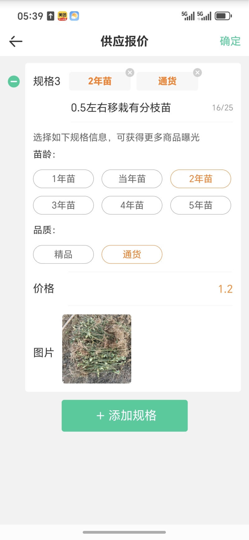 覆盆子苗