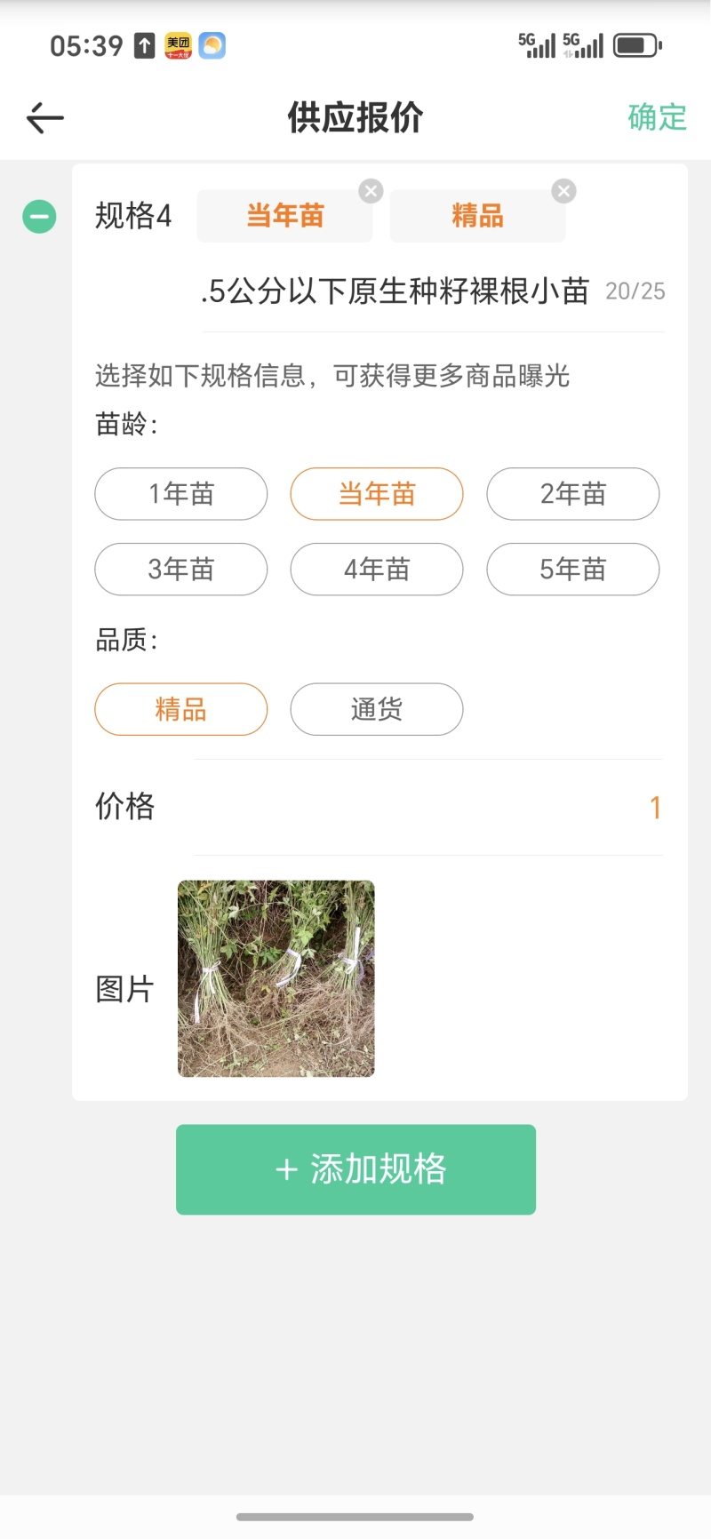 覆盆子苗