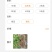 覆盆子苗