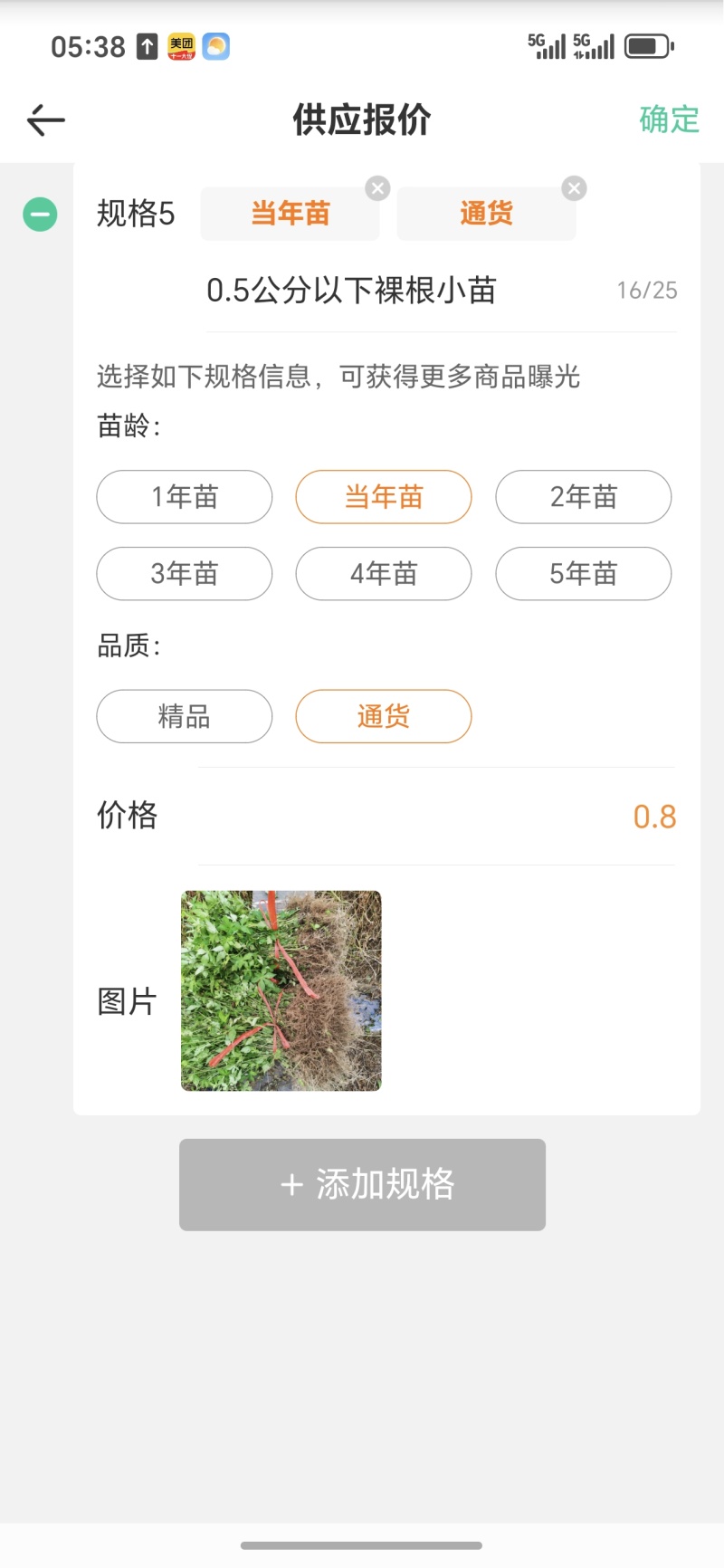 覆盆子苗