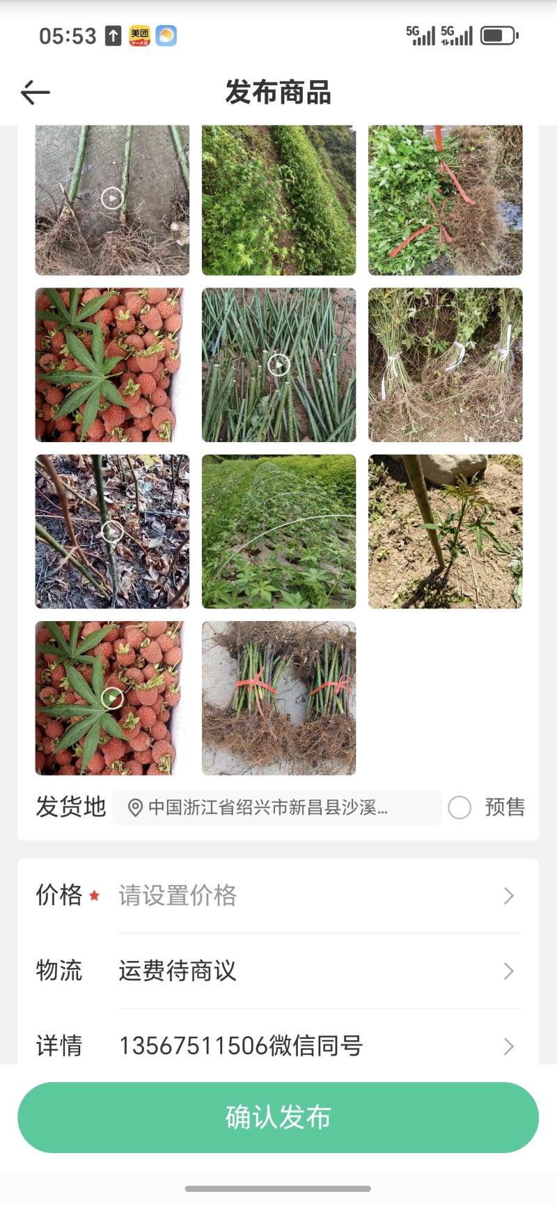覆盆子苗