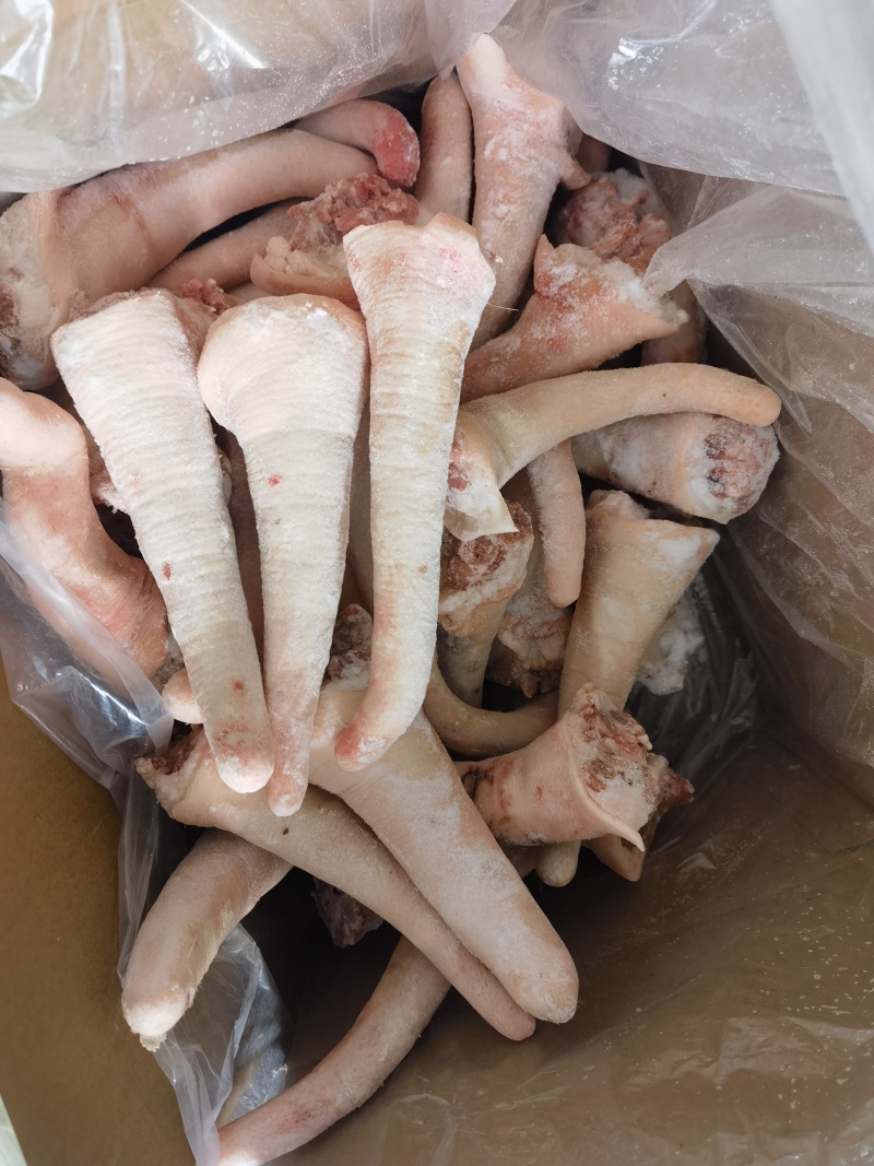 猪大肠头，肚，尾吧！批发猪产品猪手，肉皮，各种猪肚产品