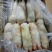 红肠，肚头，大肠头，猪蹄各种猪副产品大量批发，需要的来吧