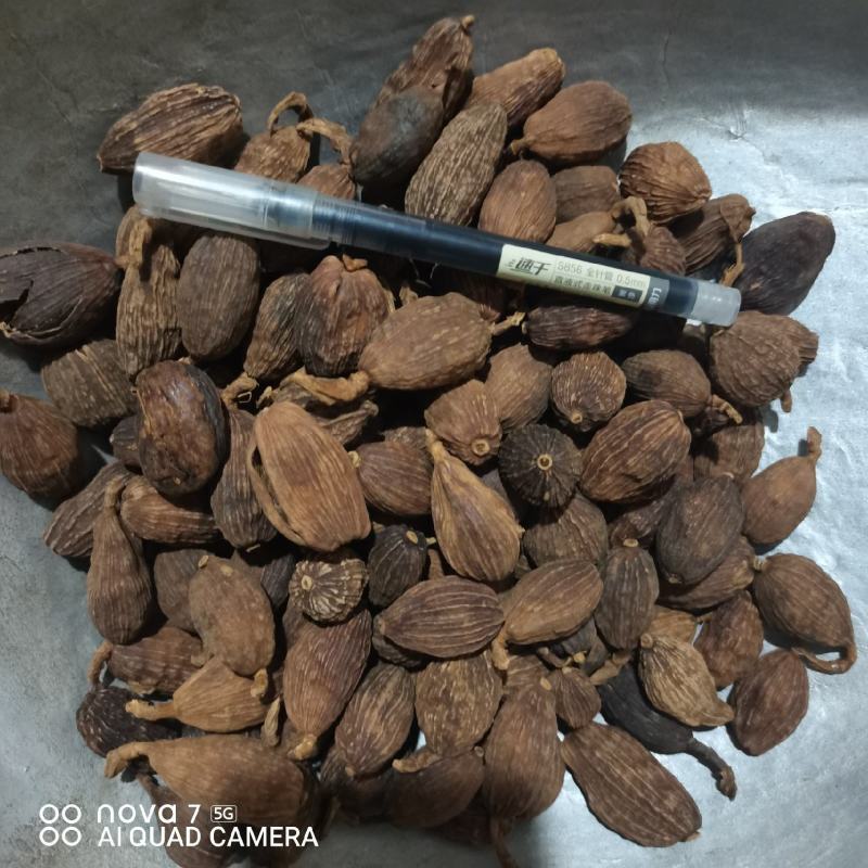 草果云南大草果一手货源批发各种香辛料量大从优