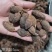草果云南大草果一手货源批发各种香辛料量大从优