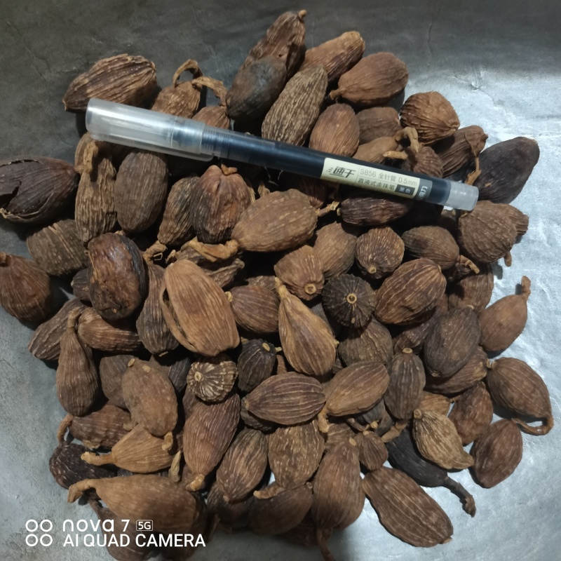 草果云南大草果一手货源批发各种香辛料量大从优