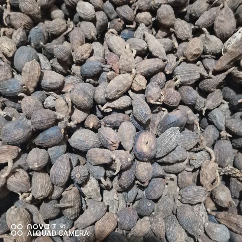 草果云南大草果一手货源批发各种香辛料量大从优