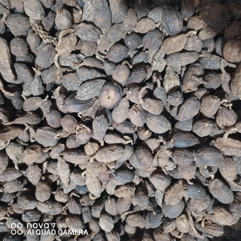 草果云南大草果一手货源批发各种香辛料量大从优