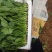 单县大叶菠菜颜色鲜亮，无霜霉，无黄叶，无烂叶，无白点，