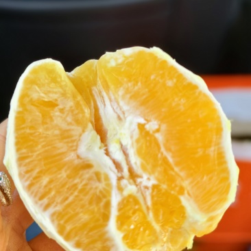 赣南脐橙