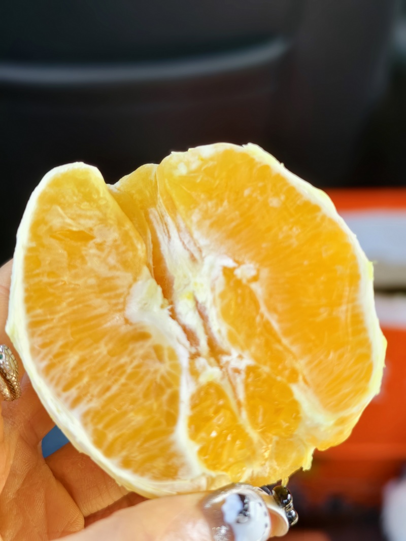 赣南脐橙