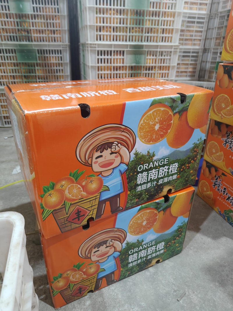 赣南脐橙