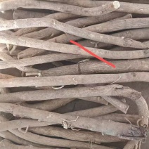 内蒙古黄芪条生黄芪产地现挖现发品质保障欢迎电联