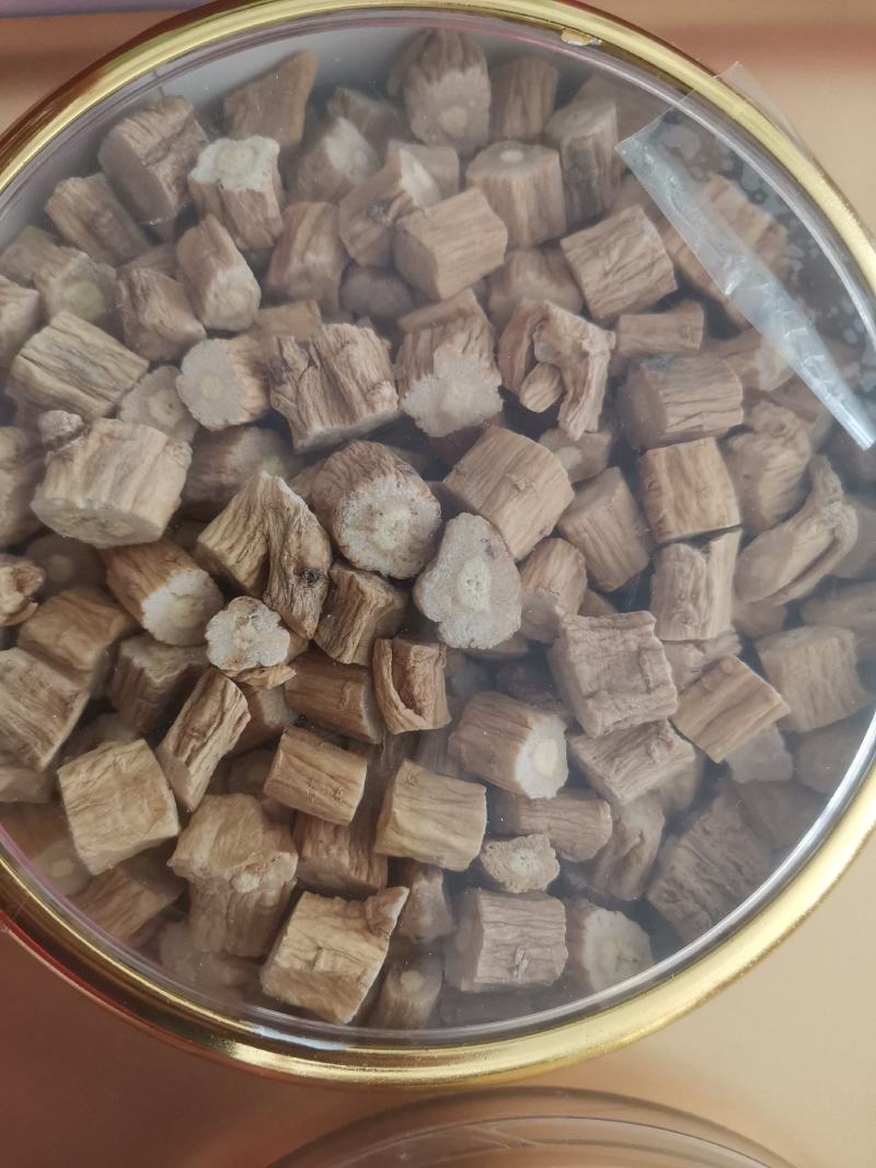 甘肃白条党参