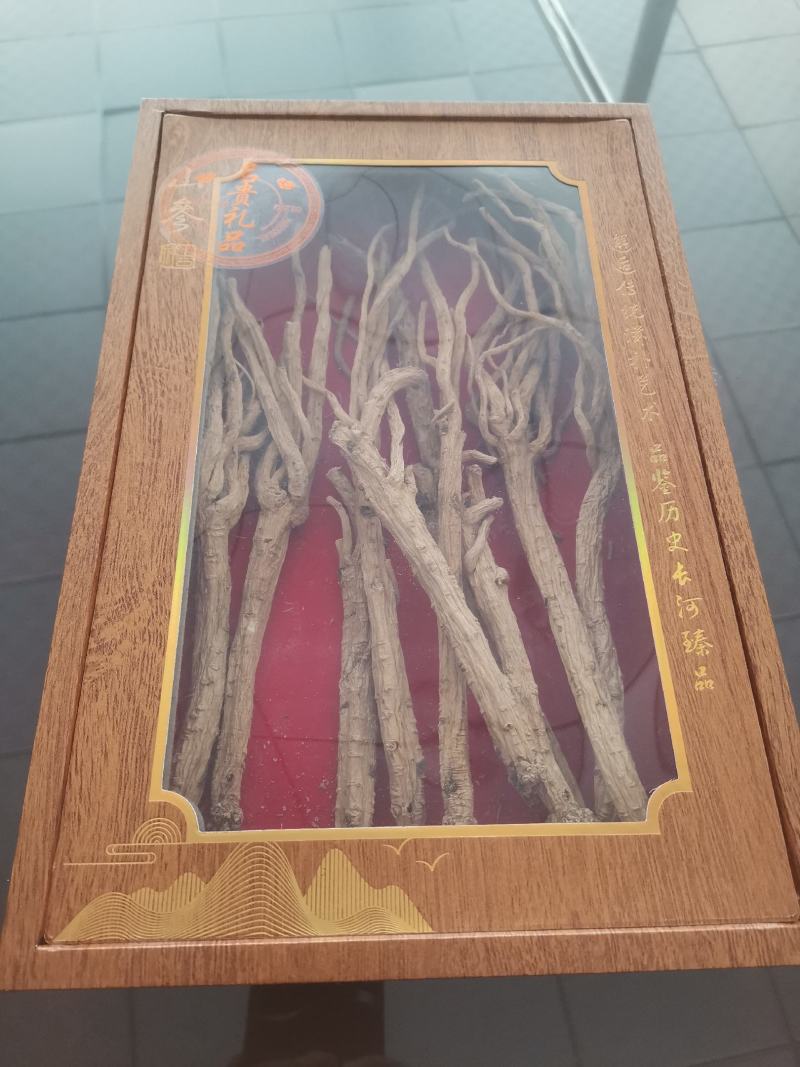 甘肃白条党参