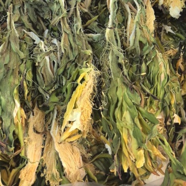 【霸王花】肉质厚实煲汤料滋补干货批发零售