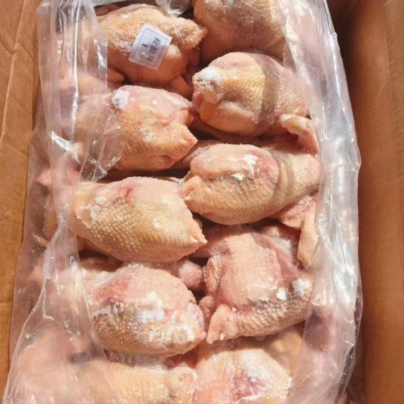 白条鸡厂家直供