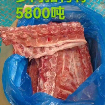 多肉背骨