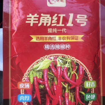 羊角红辣椒种子