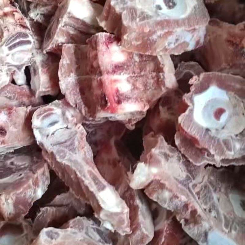 多肉羊蝎子
