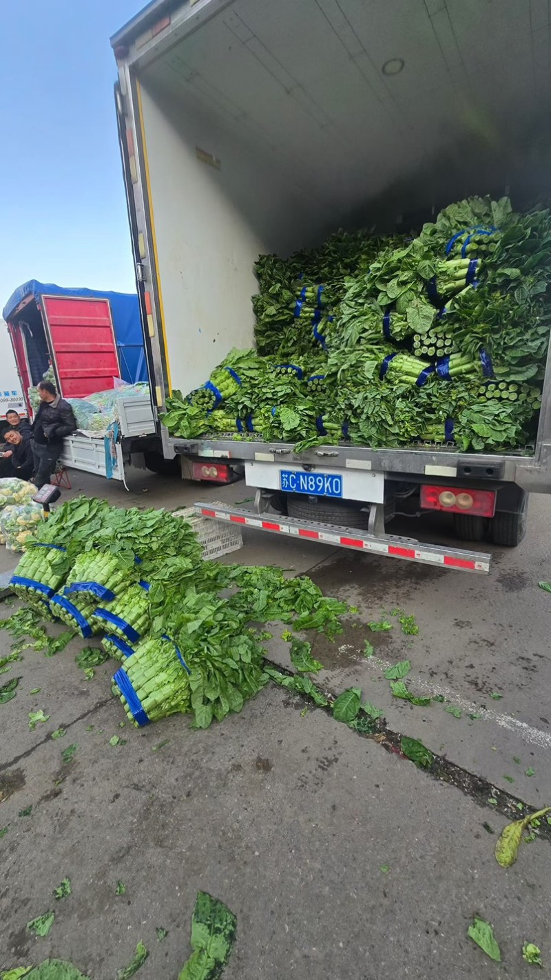 开封莴笋一手货源红叶香莴苣价格实惠视频看货诚信经营