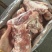 带腱前腿骨