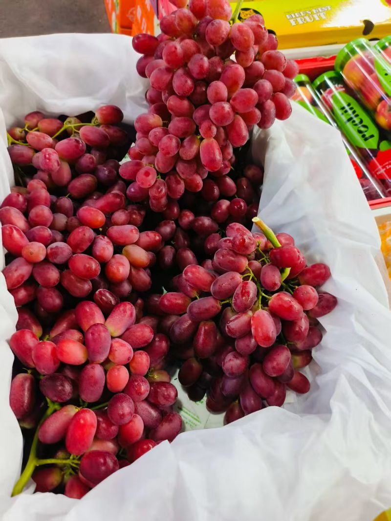 精品西昌克伦生葡萄，彩票货，冷库大量有货，货在西昌，