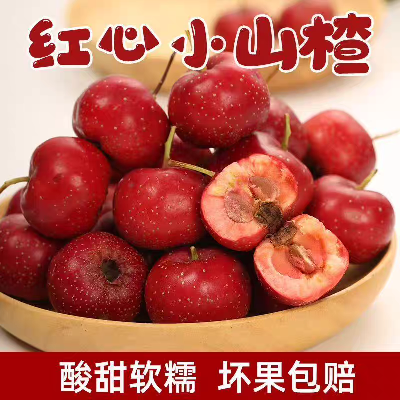 【一件代发】山东泰安甜红子山楂产地直发规格齐全