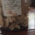 云南精品白芨大量批发零售，货源充足，欢迎有需要的看过来。