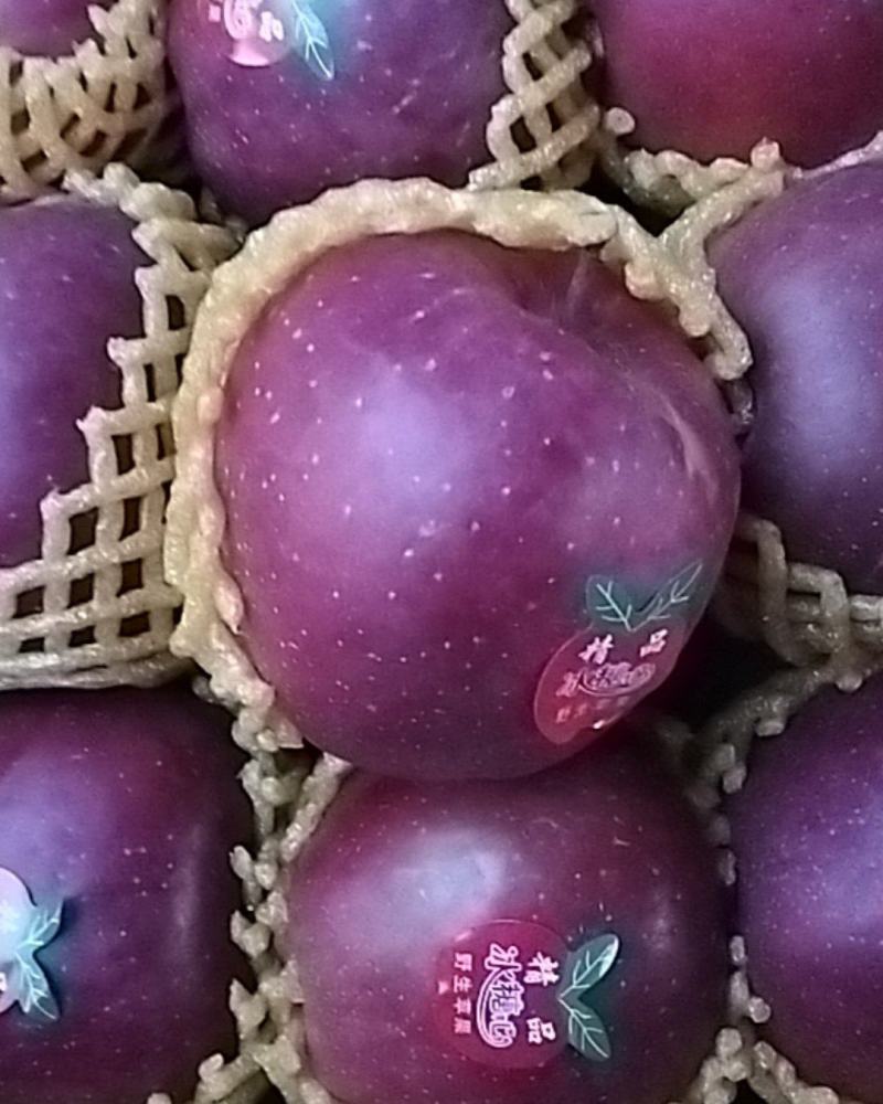 云南昭通丑苹果