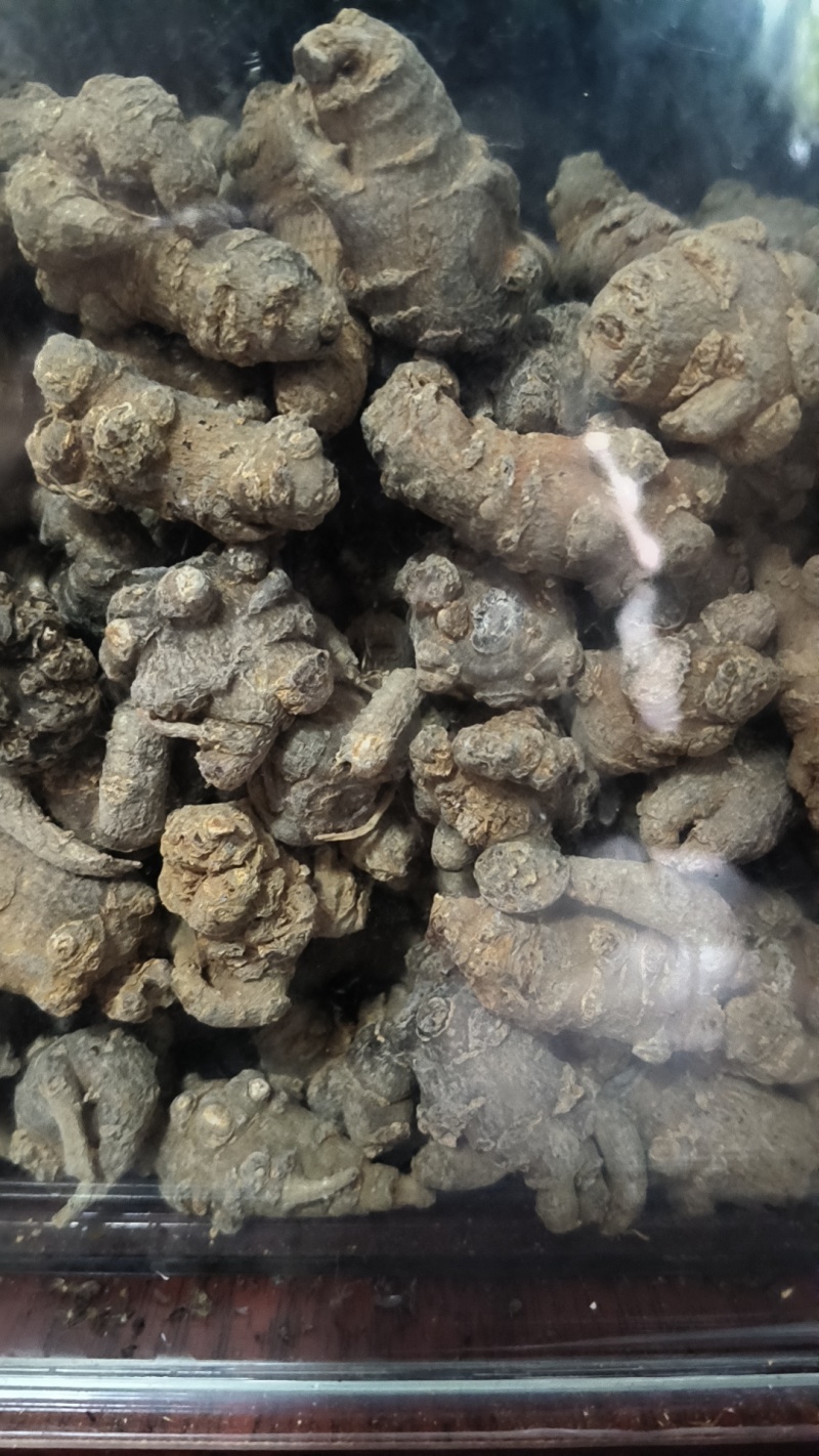 云南文山三七，大量批发零售，三七没有打蜡，经阳光自然晒干