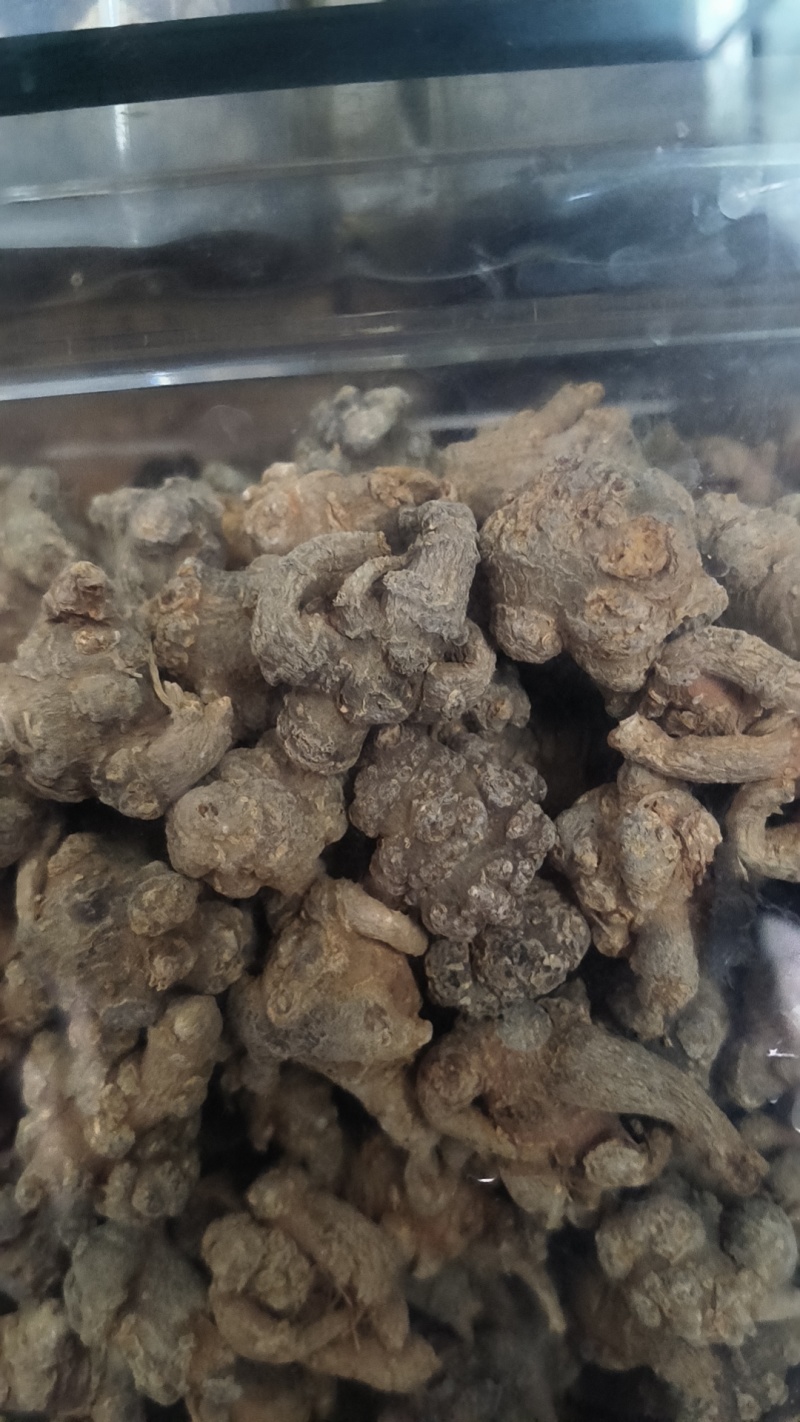 云南文山三七，大量批发零售，三七没有打蜡，经阳光自然晒干