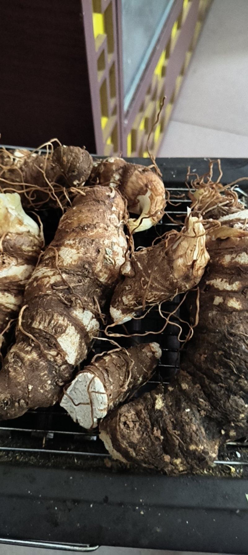 8年自种滇重楼，现有10吨左右，货源充足。