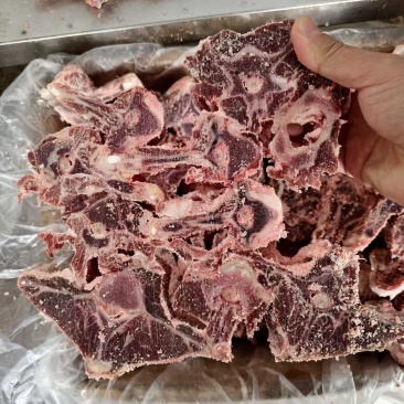 牧场纪满肉羊蝎子30斤
