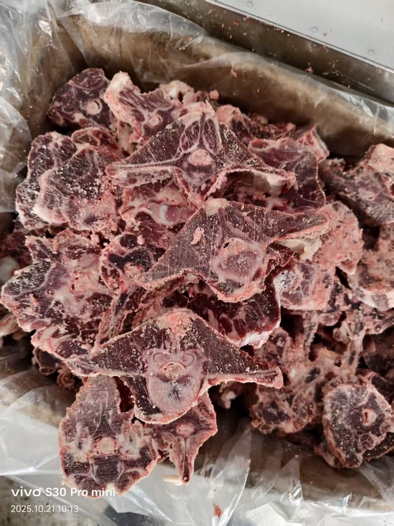 牧场纪满肉羊蝎子30斤