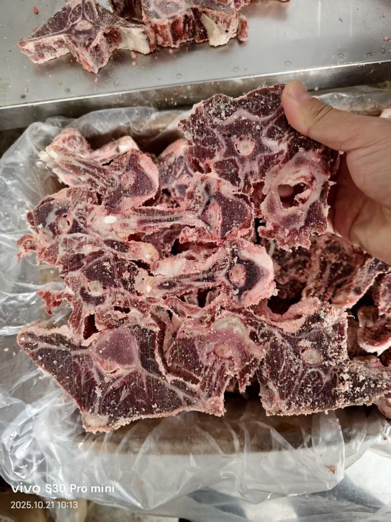 牧场纪满肉羊蝎子30斤